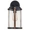 Westinghouse Fixture Wall Outdoor 60W Armin, Textured Black Barnwood Clear Seeded Glass 6358800 - alternate 1